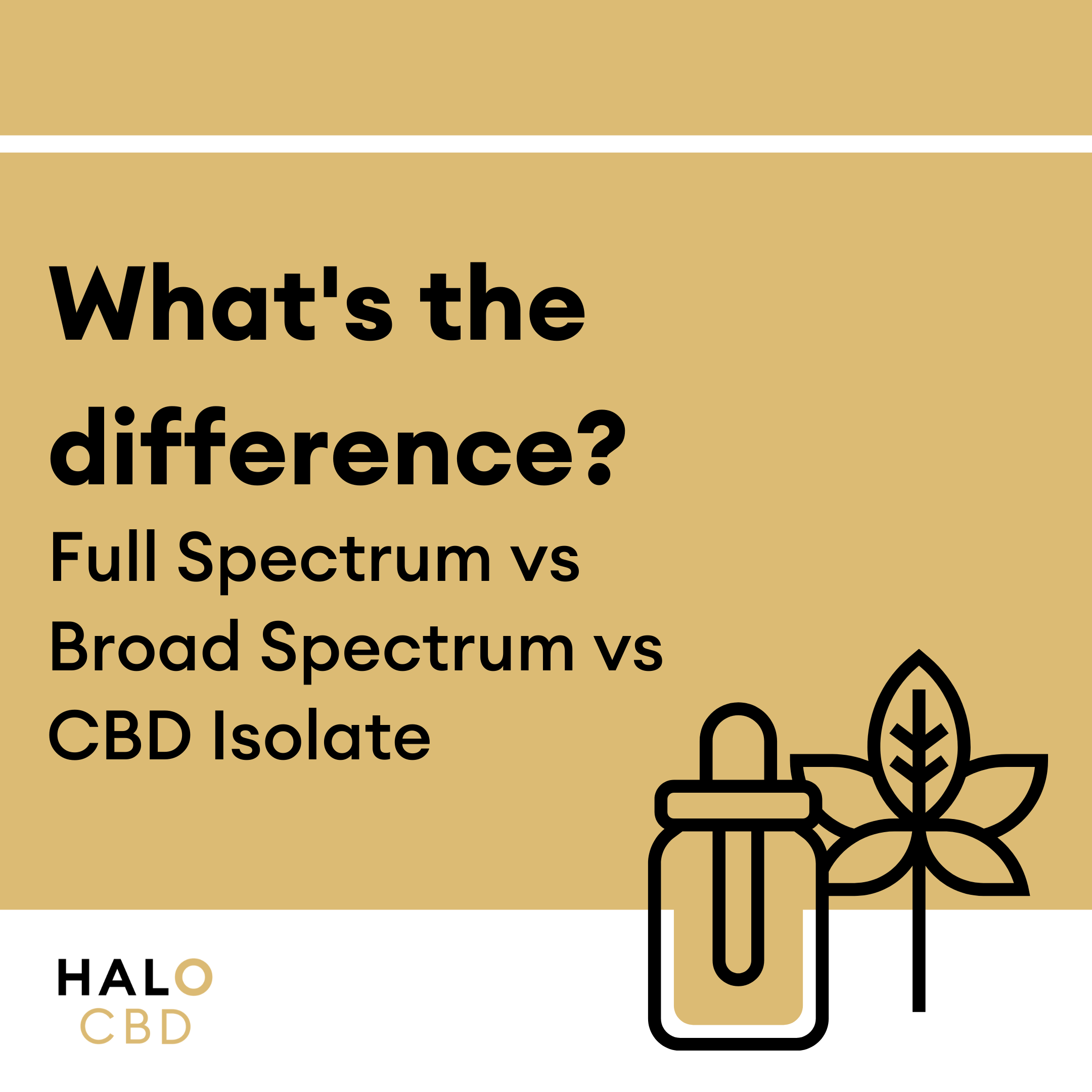 Full Vs Broad Spectrum Vs CBD Isolate | Halo CBD